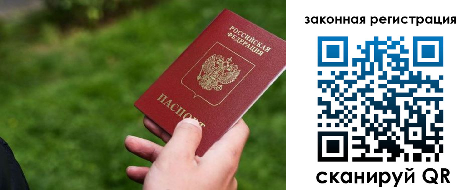 прописка законно в Зарайске